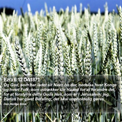 Ezra 6:12 DA1871 Bible Verse Image