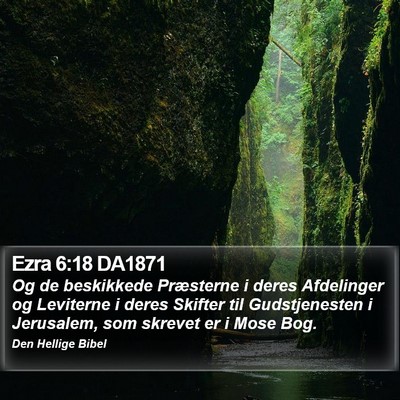 Ezra 6:18 DA1871 Bible Verse Image