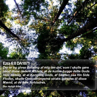 Ezra 6:8 DA1871 Bible Verse Image