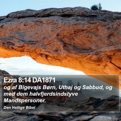 Ezra 8:14 DA1871 Bible Verse Image