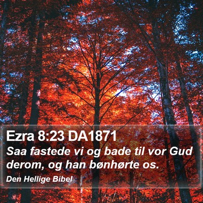 Ezra 8:23 DA1871 Bible Verse Image