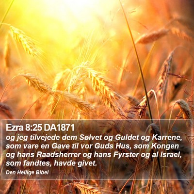 Ezra 8:25 DA1871 Bible Verse Image