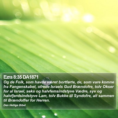 Ezra 8:35 DA1871 Bible Verse Image