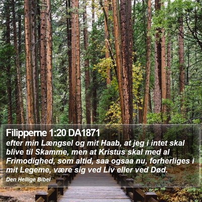 Filipperne 1:20 DA1871 Bible Verse Image