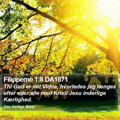 Filipperne 1:8 DA1871 Bible Verse Image