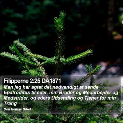 Filipperne 2:25 DA1871 Bible Verse Image
