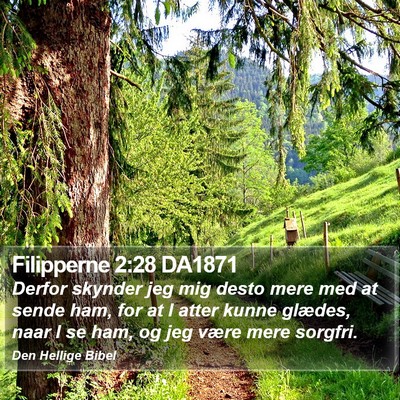 Filipperne 2:28 DA1871 Bible Verse Image