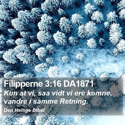 Filipperne 3:16 DA1871 Bible Verse Image