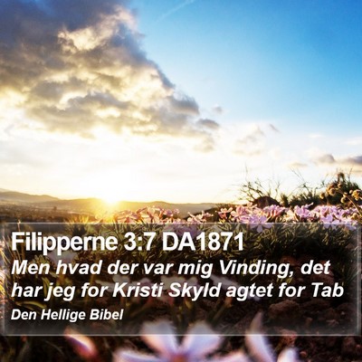 Filipperne 3:7 DA1871 Bible Verse Image