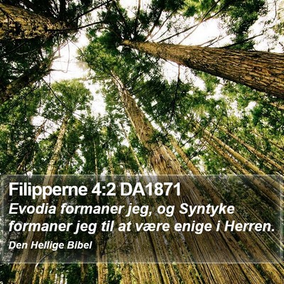 Filipperne 4:2 DA1871 Bible Verse Image