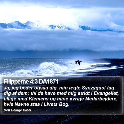 Filipperne 4:3 DA1871 Bible Verse Image