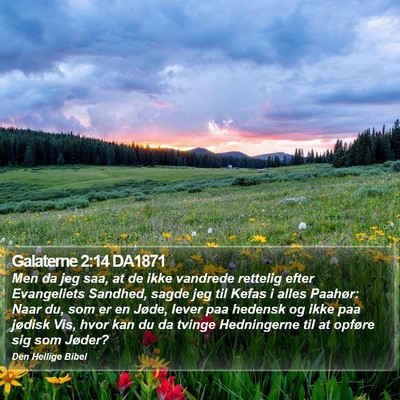 Galaterne 2:14 DA1871 Bible Verse Image