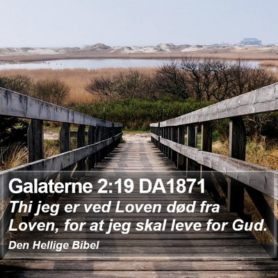 Galaterne 2:19 DA1871 Bible Verse Image