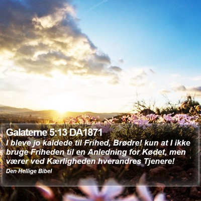 Galaterne 5:13 DA1871 Bible Verse Image