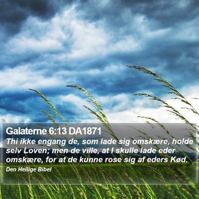 Galaterne 6:13 DA1871 Bible Verse Image