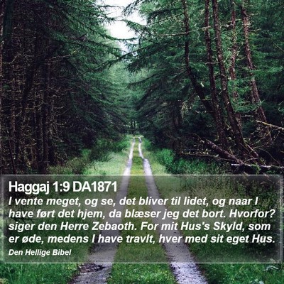 Haggaj 1:9 DA1871 Bible Verse Image