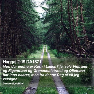 Haggaj 2:19 DA1871 Bible Verse Image