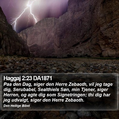 Haggaj 2:23 DA1871 Bible Verse Image