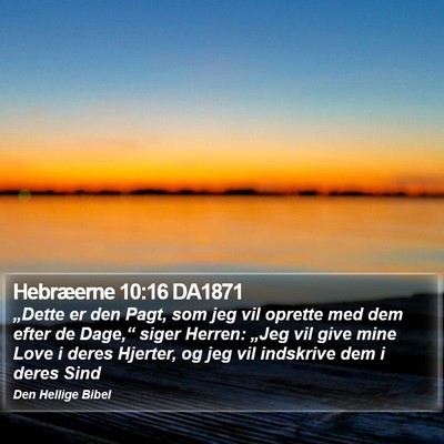Hebræerne 10:16 DA1871 Bible Verse Image