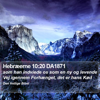 Hebræerne 10:20 DA1871 Bible Verse Image