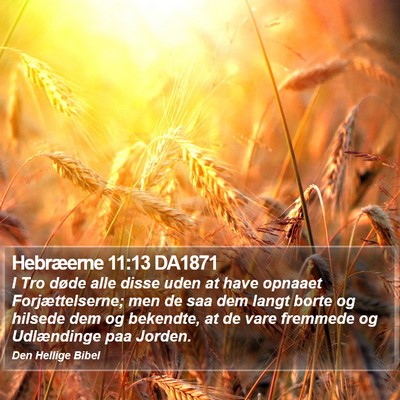 Hebræerne 11:13 DA1871 Bible Verse Image