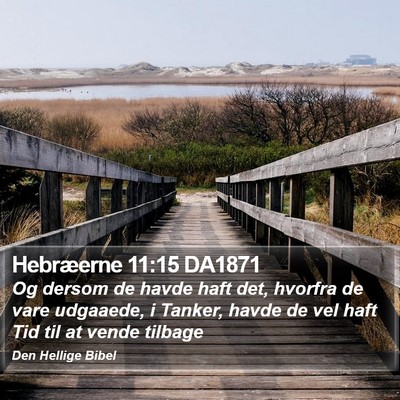 Hebræerne 11:15 DA1871 Bible Verse Image