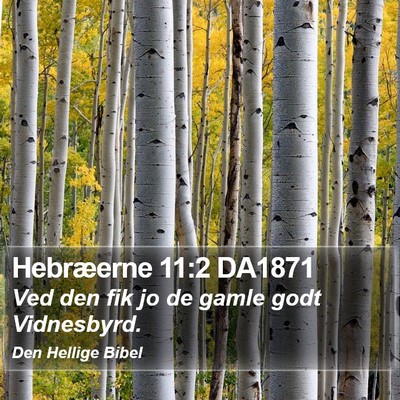 Hebræerne 11:2 DA1871 Bible Verse Image