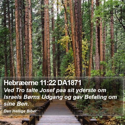 Hebræerne 11:22 DA1871 Bible Verse Image