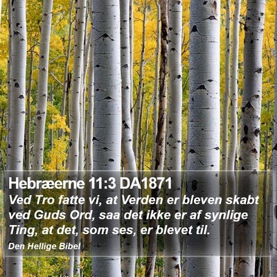 Hebræerne 11:3 DA1871 Bible Verse Image