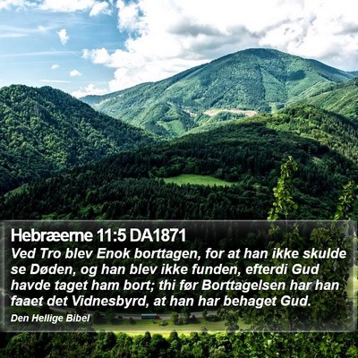 Hebræerne 11:5 DA1871 Bible Verse Image