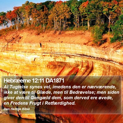 Hebræerne 12:11 DA1871 Bible Verse Image