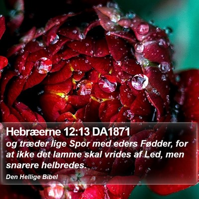 Hebræerne 12:13 DA1871 Bible Verse Image