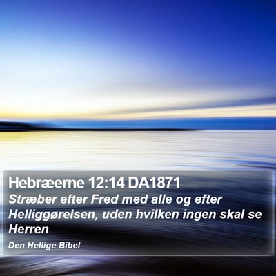 Hebræerne 12:14 DA1871 Bible Verse Image