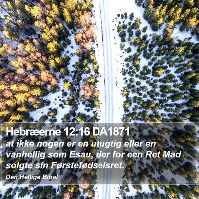Hebræerne 12:16 DA1871 Bible Verse Image