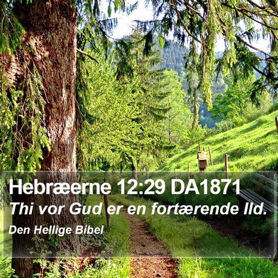Hebræerne 12:29 DA1871 Bible Verse Image