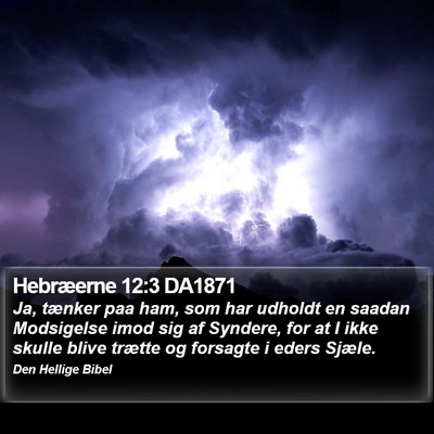 Hebræerne 12:3 DA1871 Bible Verse Image