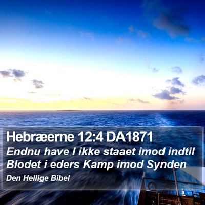 Hebræerne 12:4 DA1871 Bible Verse Image