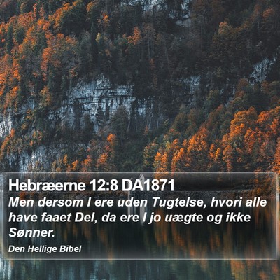 Hebræerne 12:8 DA1871 Bible Verse Image