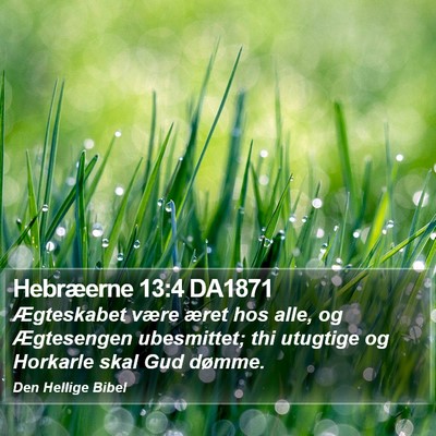 Hebræerne 13:4 DA1871 Bible Verse Image