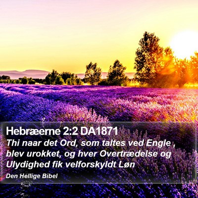 Hebræerne 2:2 DA1871 Bible Verse Image