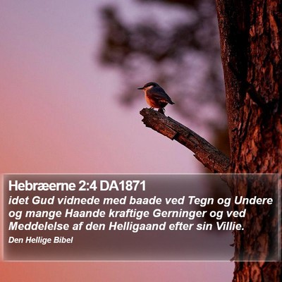 Hebræerne 2:4 DA1871 Bible Verse Image