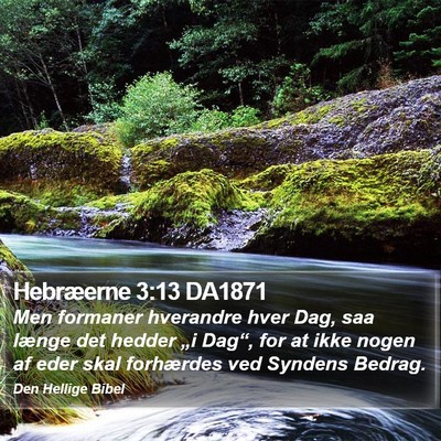 Hebræerne 3:13 DA1871 Bible Verse Image