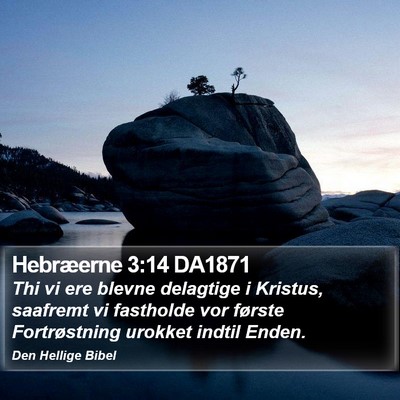 Hebræerne 3:14 DA1871 Bible Verse Image