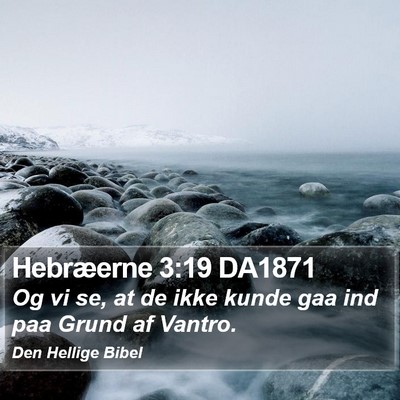 Hebræerne 3:19 DA1871 Bible Verse Image