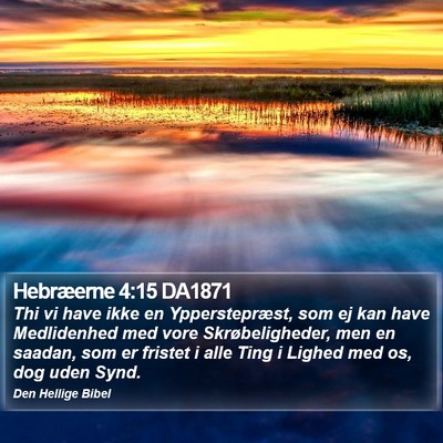 Hebræerne 4:15 DA1871 Bible Verse Image