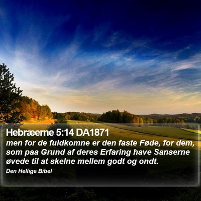 Hebræerne 5:14 DA1871 Bible Verse Image