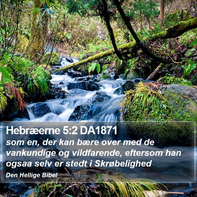 Hebræerne 5:2 DA1871 Bible Verse Image