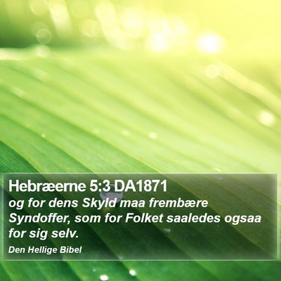 Hebræerne 5:3 DA1871 Bible Verse Image