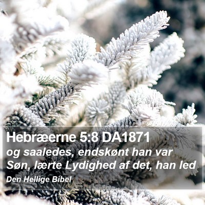 Hebræerne 5:8 DA1871 Bible Verse Image