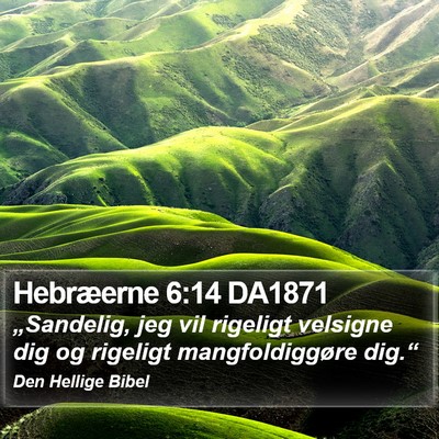 Hebræerne 6:14 DA1871 Bible Verse Image
